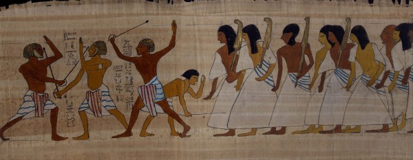 fencing papyrus 600x233